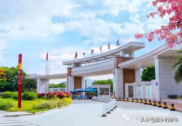 广州正规网络教育学历学校_广州正规的学历提升教育机构
