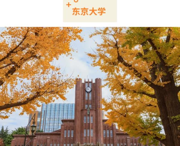 日本东京大学本科申请条件_日本东京大学研究生申请条件
