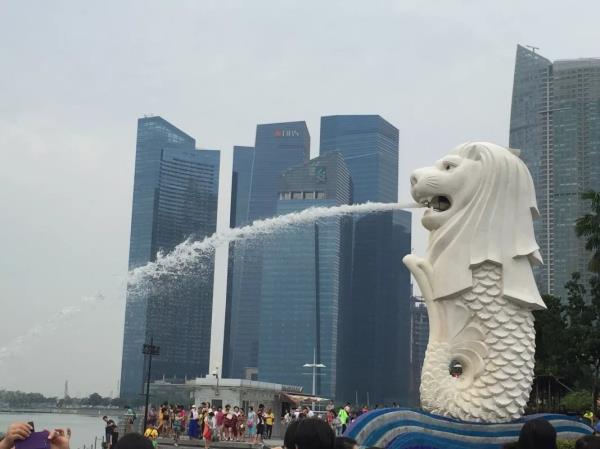 申请去新加坡留学需要的程序_怎样申请去新加坡留学