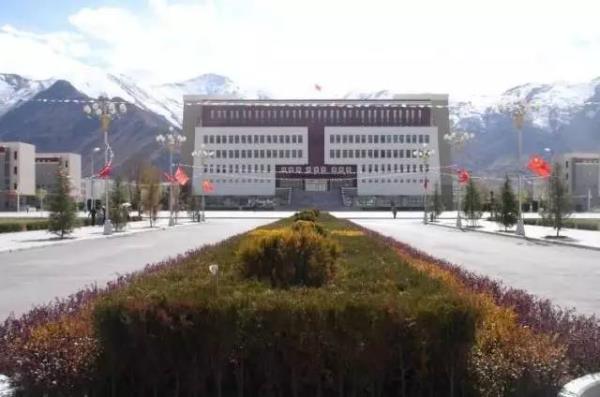 西藏大学学校单位编码