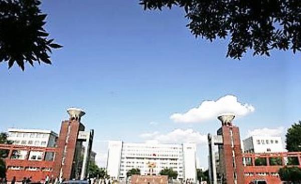 新疆大学本部地址