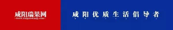 礼泉县网络教育考试时间_礼泉网络教育信息网