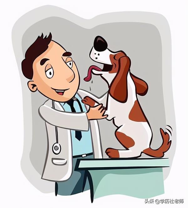 自考兽医专业哪些大学_哪个大学可以自考兽医类专业