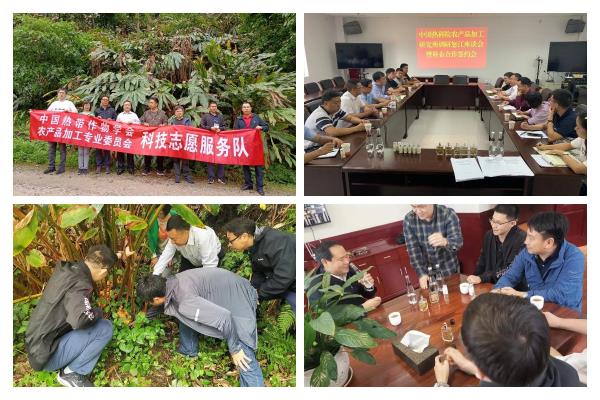 云南农业大学热带作物学院网络教育网上报名