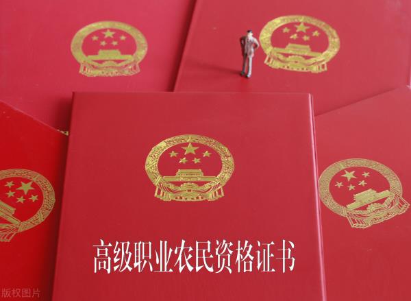 河南省注册会计师和高级会计师