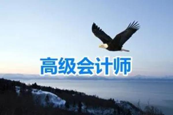 黑龙江省高级会计师评审论文_黑龙江省副高级会计师评审