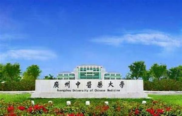 河北省专科可以考中学教师资格证