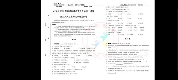 2022年北京成考专升本语文真题