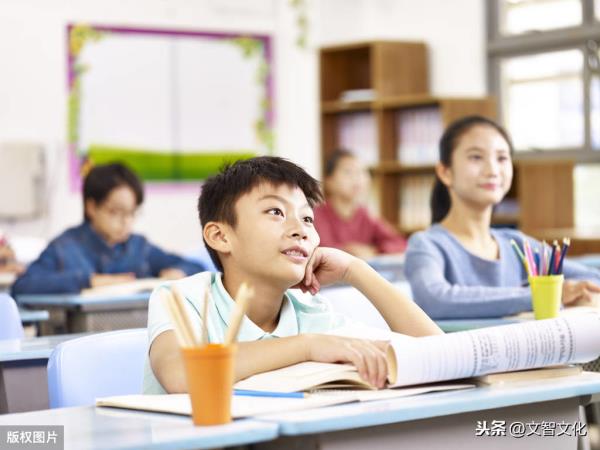 河南招教考试高中课程