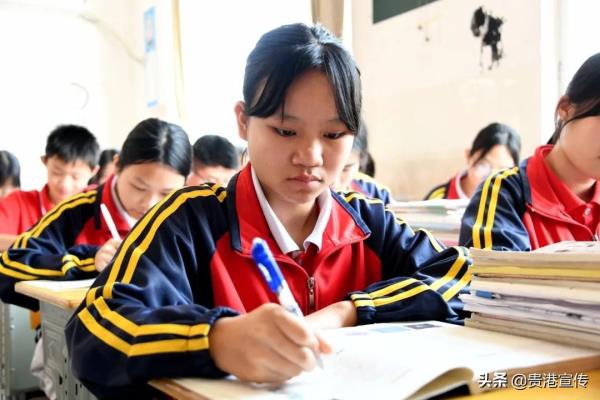 贵港高中学生有多少门课程